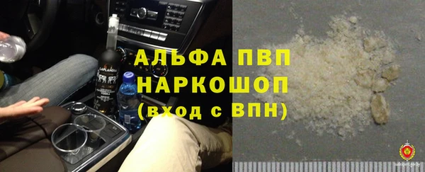гашик Алексин