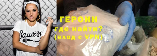 гашик Алексин