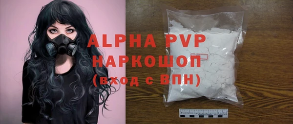 гашик Алексин