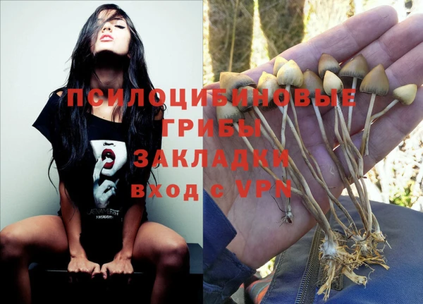 меф Алзамай
