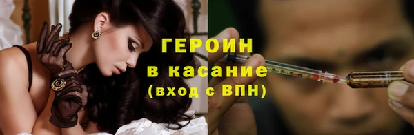 гашик Алексин