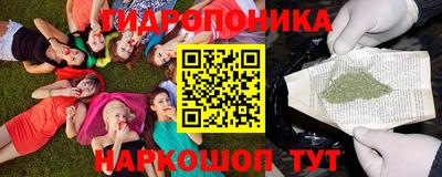 тгк Краснодар