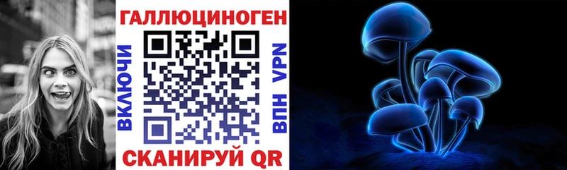 MEGA онион  продажа наркотиков  Кимры  Галлюциногенные грибы мицелий 
